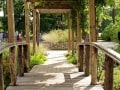 Garden-wedding-ceremony-at-Marianis-Venue-8-7-2048-4